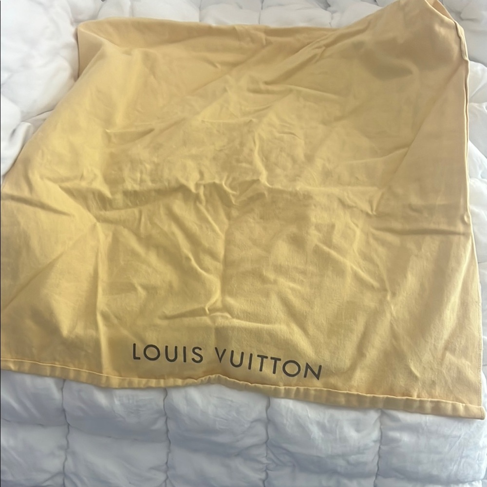 Louis Vuitton dust bag, medium